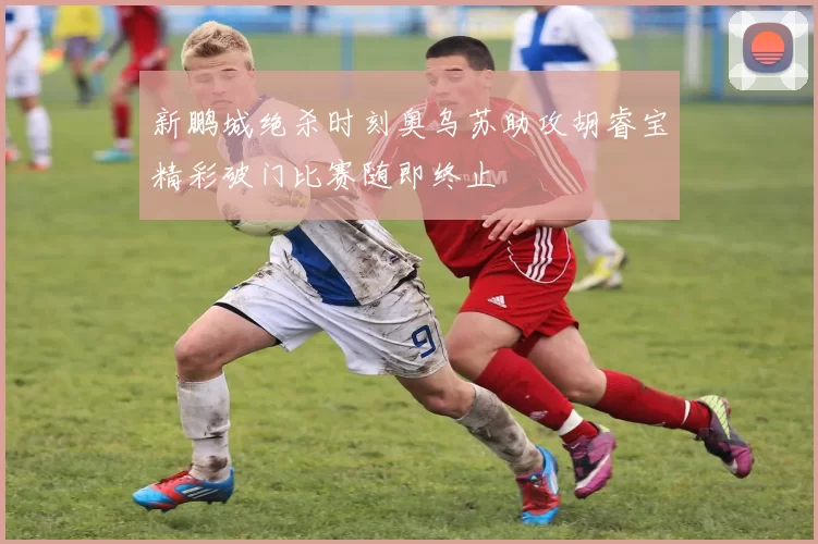 新鹏城绝杀时刻奥乌苏助攻胡睿宝精彩破门比赛随即终止