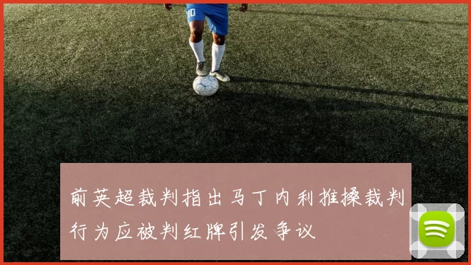 前英超裁判指出马丁内利推搡裁判行为应被判红牌引发争议